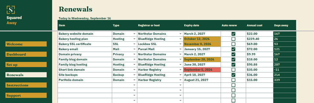 Domain and Hosting Renewals' Renewals tab listing 10 domains, hosting plans, certificates and mail accounts with the provider, expiry date, auto renew tick and yearly cost, and the countdown beside each.